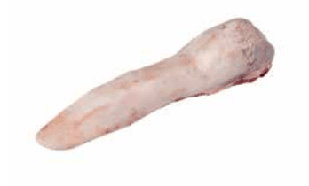 Tongue